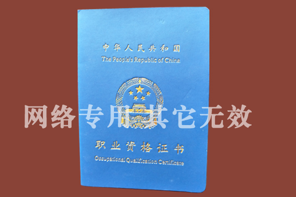 职业资格证11